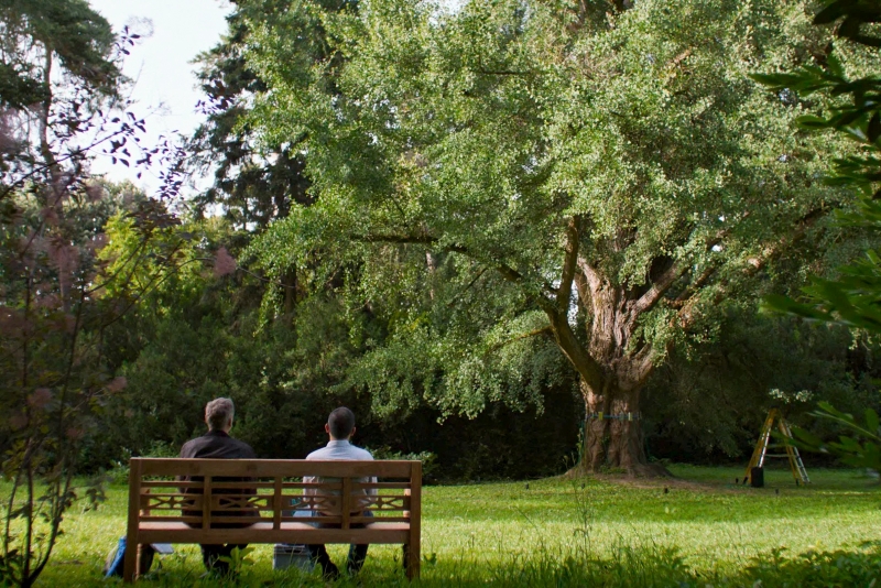 Радио Romantika – партнер релиза «Молчаливый друг»