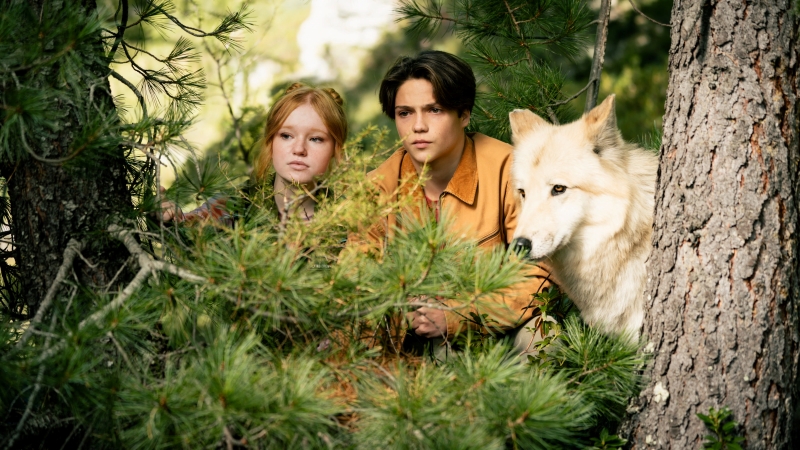 Like FM – федеральный партнер фэнтези‑сиквела «Дети леса 2»